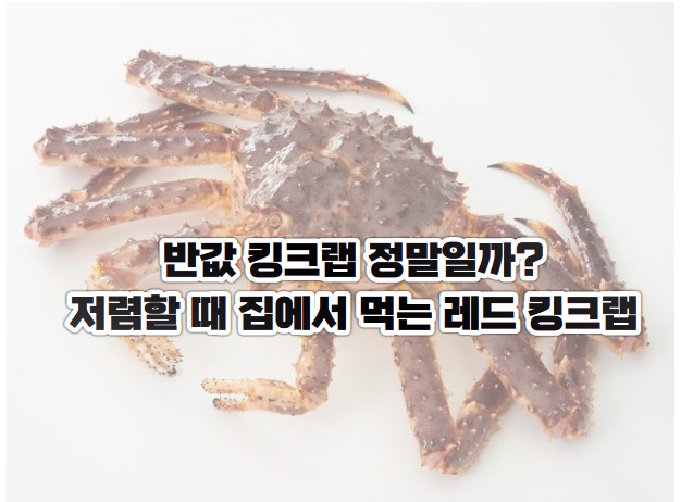 반값 킹크랩 정말일까? 저렴할 때 집에서 먹는 레드 킹크랩