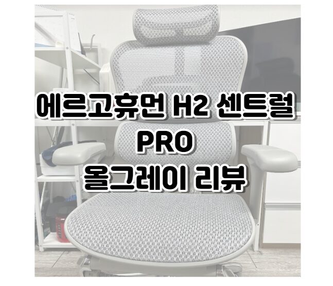 에르고휴먼 H2 센트럴 PRO 올그레이 리뷰